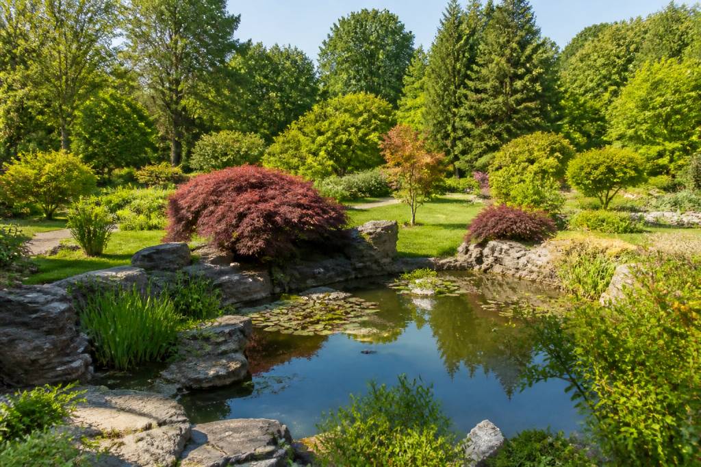 Giardini botanici d’Italia: itinerari tra natura, biodiversità e bellezza paesaggistica